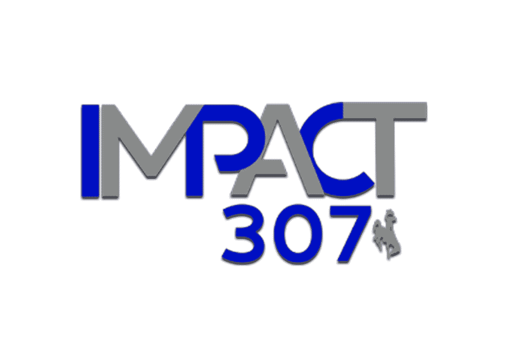 Impact 307